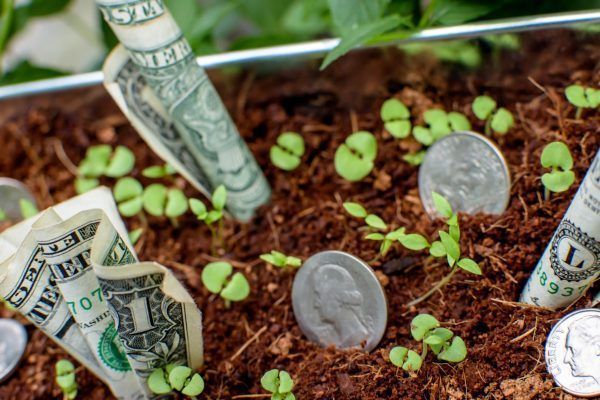 Los fondos de inversión libre