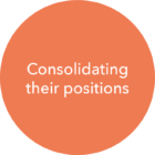 Consolidanting